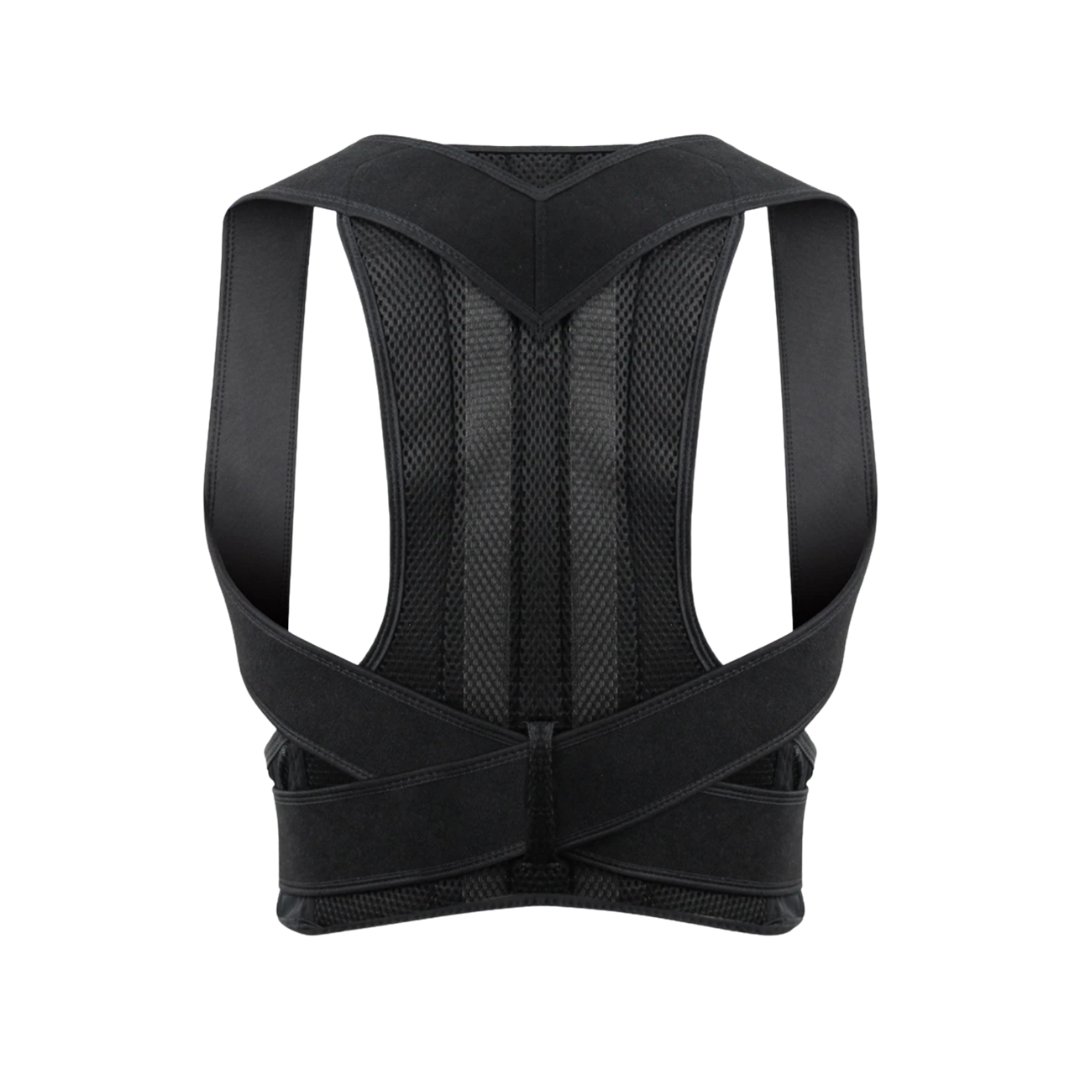 Back Support Belt